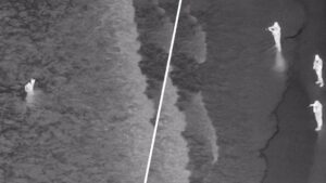 Tài xế đâm xe xuống biển sau cuộc rượt đuổi ở Huntington Beach