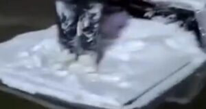 Tin tức buổi sáng: Netflix bị chỉ trích về các chương trình ‘woke’, nỗ lực đảo ngược chính sách của Trump về khoa học, và Anh điều tra vụ rò rỉ thông tin Epstein