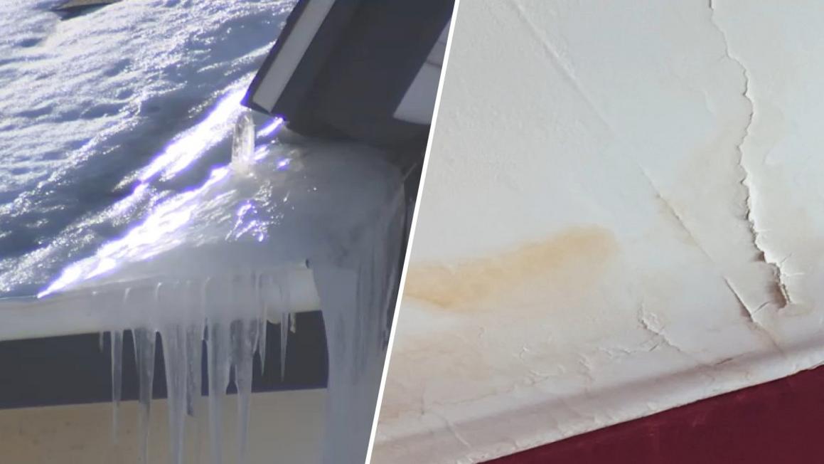 image 2026 02 02T172633.874