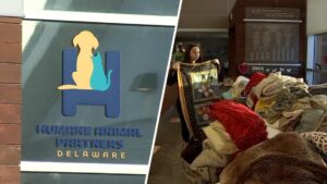 Cộng đồng Wilmington chung tay giúp đỡ trại động vật khi hệ thống sưởi bị hỏng