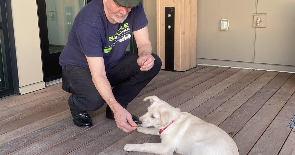 lucky pup 3 scaled 1