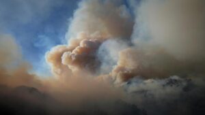 Khói cháy rừng gây ra 24.100 ca tử vong mỗi năm tại Mỹ: Nghiên cứu