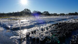 Nhiều khu vực Hoa Kỳ đối mặt với nhiệt độ lạnh giá sau tuyết rơi dày cuối tuần