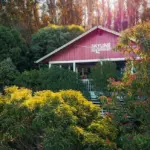 Skyline Hawaii Biến thành Công cụ Bảo tồn Đảo Maui