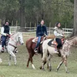 Nghỉ dưỡng tránh xa đô thị: Twisted Trail Ranch trở thành điểm đến sự kiện, du lịch mới của Conroe