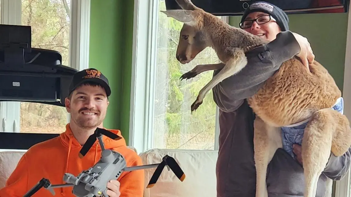 Kangaroo đào tẩu khỏi sở thú ở Wisconsin đã được tìm thấy