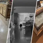 Gấu đen đột nhập nhà dân ở Claremont, ăn vặt rồi tự rời đi