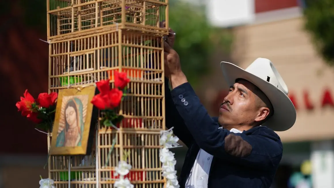 Những người đàn ông mang những tháp chim qua đường phố Mexico