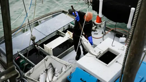 Ngư trường thương mại đánh bắt cá hồi California mở cửa trở lại sau ba năm đóng cửa