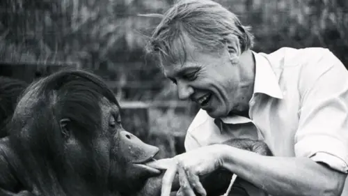 Ông David Attenborough bước sang tuổi 100