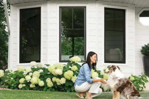 Nâng Cấp Cửa Sổ, Cửa Đi Để Cải Thiện Ngôi Nhà Tại Austin