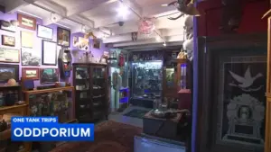 Cùng khám phá Oddporium ở Delaware