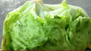 Xà lách băng được cho là nguồn lây bệnh ký sinh trùng