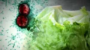Bùng phát Cyclospora từ rau diếp tại Taco Bell lan rộng