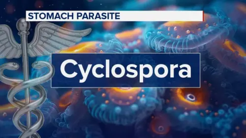 Lời khuyên để phòng ngừa ký sinh trùng Cyclospora gia tăng