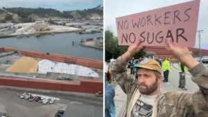 C&H Offloads Sugar at East Bay Terminal Amid Strike, Raising Health Concerns
