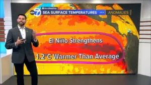 El Niño Mạnh Lên, Tăng Khả Năng Mùa Đông Bão Bùng và Mưa Nhiều Tại California