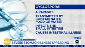 Triệu Chứng, Cách Chữa Trị và Đường Lây Lan Của Bệnh Cyclosporiasis