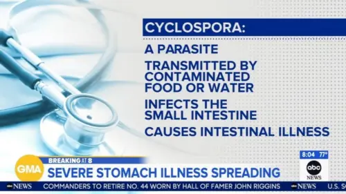Triệu Chứng, Cách Chữa Trị và Đường Lây Lan Của Bệnh Cyclosporiasis