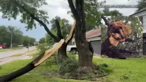 Cành cây lớn gãy đổ sau khi giông bão mạnh hoành hành vùng Tây Bắc Quận Harris