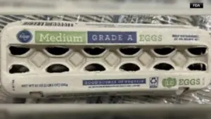 Hơn 19 triệu trứng sản xuất tại Texas tự nguyện thu hồi vì nghi nhiễm khuẩn Salmonella