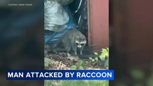 Người đàn ông New Jersey kể lại vụ tấn công của gấu mèo ngoài nhà: ‘Tôi có thể nhìn thấy đôi mắt vàng rực’