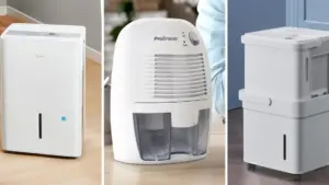 Máy khử ẩm tốt nhất giúp chống nấm mốc trong nhà