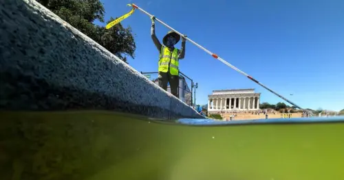 Bộ Nội Vụ Sẽ Dùng Lại Công Ty Sửa Chữa Hồ Lincoln Memorial Bị Hư Hại
