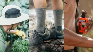 Cách phòng ngừa và tránh bị ve cắn theo chuyên gia