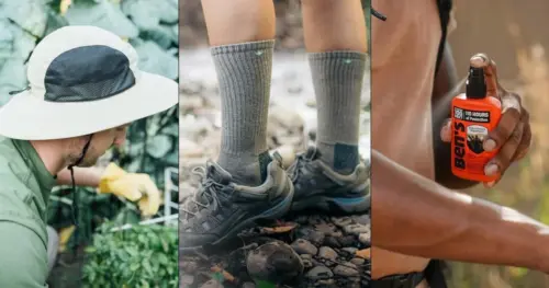Cách phòng ngừa và tránh bị ve cắn theo chuyên gia