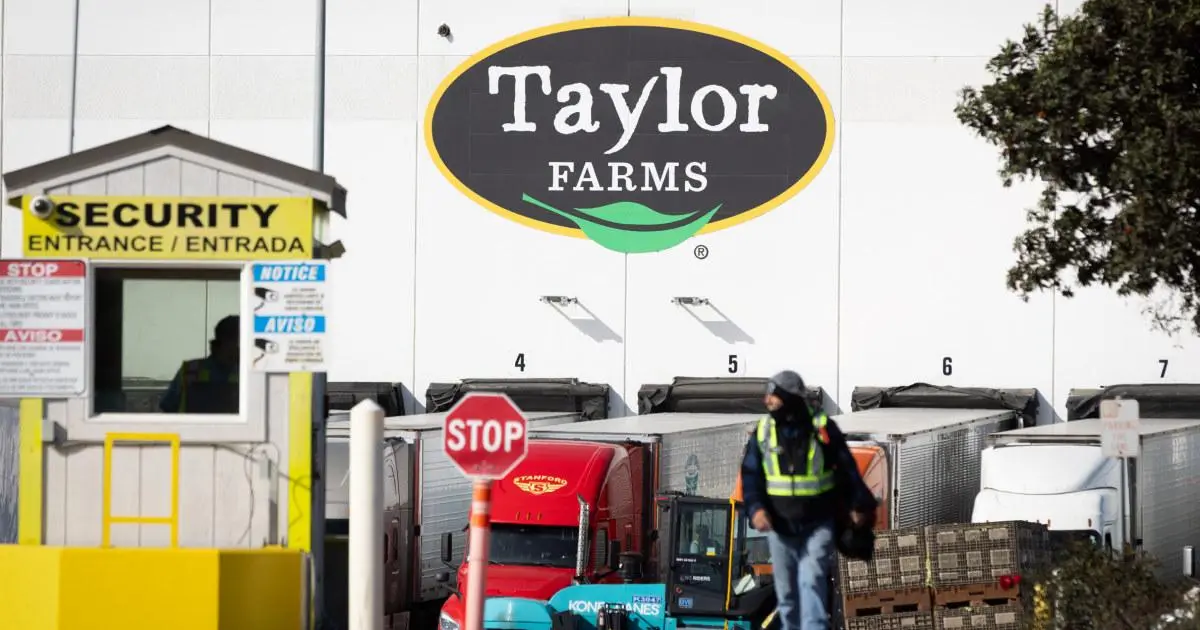 FDA Vẫn Điều Tra Taylor Farms Vụ Ngộ Độc Cyclospora Dù Kết Quả Xét Nghiệm Sai