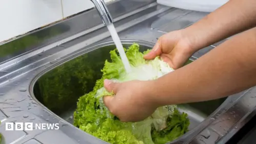 Loại ký sinh trùng gây tiêu chảy dữ dội bùng phát tại Hoa Kỳ