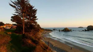 Người đàn ông mất bàn tay vì thiết bị nổ trên bãi biển California