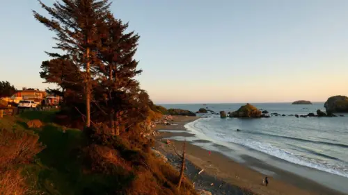 Người đàn ông mất bàn tay vì thiết bị nổ trên bãi biển California