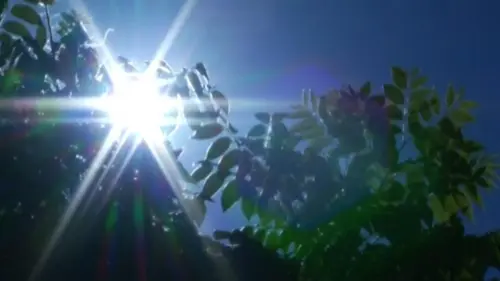Cảnh báo nắng nóng sắp có hiệu lực tại vùng duyên hải nội địa Los Angeles