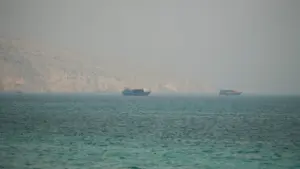 Hoa Kỳ Phản Ứng Sau Vụ Tấn Công Tàu Hàng Ở Eo Biển Hormuz