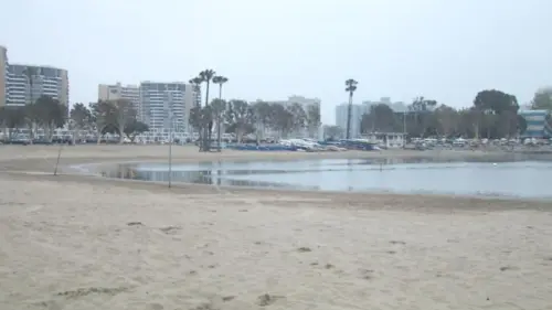 Cảnh báo bãi biển Quận Los Angeles giữa đợt nắng nóng
