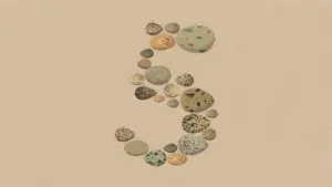 Anthropic tung ra Claude Opus 5, trợ lý mới cho mọi người