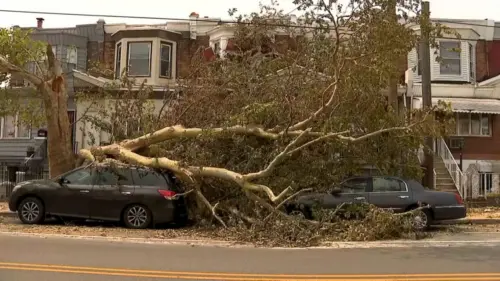 Philadelphia thuê nhà thầu đẩy nhanh dọn dẹp mảnh vỡ sau thời tiết khắc nghiệt