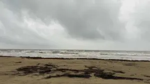 Chương trình hiến tặng áo phao ra mắt tại Surfside Beach sau vụ đuối nước của trẻ em
