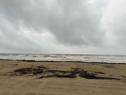 Chương trình hiến tặng áo phao ra mắt tại Surfside Beach sau vụ đuối nước của trẻ em