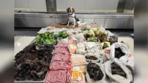 99 Pound Kilos Bị Hải Quan Hoa Kỳ Thu Giữ Tại Cảng Los Angeles