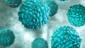 Bùng phát Cyclosporiasis có thể liên quan đến rau xà lách, rau lá, Bộ Y tế Michigan cho biết