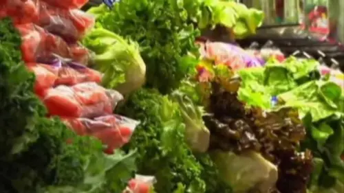 Dịch Bệnh Cyclospora: Người Đi Chợ Vùng Houston Cần Biết Gì Lúc Này