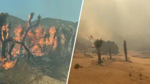 Cháy rừng lan nhanh ở phía Bắc Hạt Los Angeles, lệnh sơ tán được ban hành