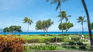 Gia đình California tố bị tấn công phân biệt chủng tộc tại resort sang trọng ở Maui