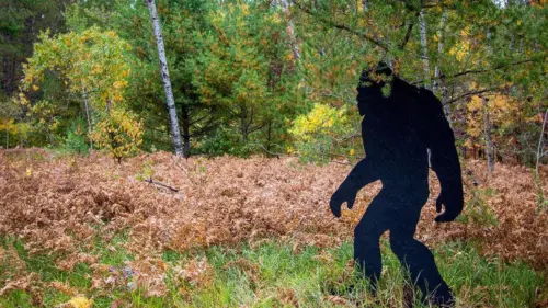 Người cha và các con tin rằng đã ghi lại được Bigfoot