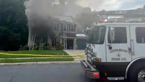 Chó vô tình bật máy nướng bánh mì, gây hỏa hoạn khiến 3 thú cưng thiệt mạng tại Maryland
