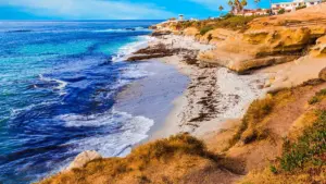 Cá mập trắng lớn dài 10 foot bơi gần nhóm thanh thiếu niên ở California