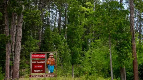 Khói bụi từ cháy rừng ở Canada và Minnesota bao trùm nhiều khu vực ở Hoa Kỳ